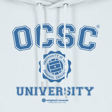 Load image into Gallery viewer, University Of Casuals - Ice Blue Hoodie
